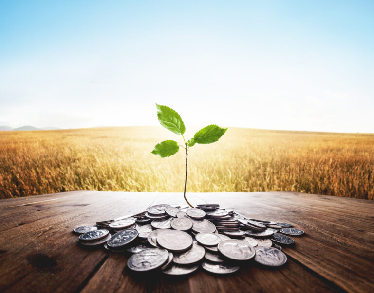 Small green plant growing from a bunch of cent coins